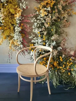 Thonet Spisebordsstole<209 Armstol, hvid fra