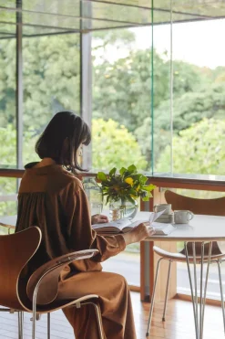 Fritz Hansen Spisebordsstole<3208 Liljen armstol i valnød af Arne Jacobsen