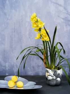 Tom Dixon Vaser<Cloud Vessel fra