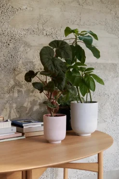 &Tradition Vaser<Collect Planter SC69 fra