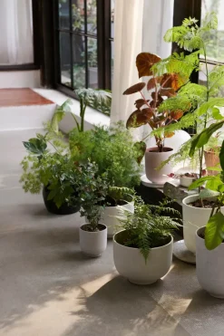 &Tradition Vaser<Collect Planter SC69 fra