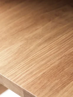 FDB Møbler Sofaborde<D33 Sofabord, 120x60 cm fra