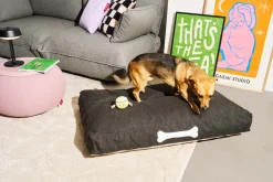 Fatboy Sækkestole<Doggielounge Olefin Large - Hundekurv fra