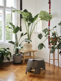 Vitra Figurer<Eames Elephant, 75 års jubilæumsudgave fra