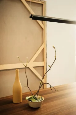 Anour Pendler|Spots<G Model pendel fra