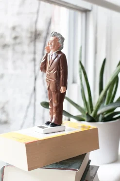 Kikkerland Figurer<Solar Einstein
