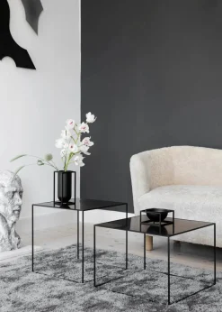 Audo Copenhagen Service<Kubus Bowl Centerpiece Small, sort fra