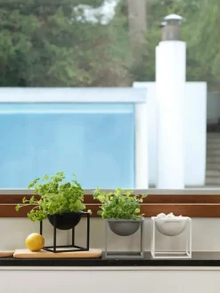 Audo Copenhagen Service<Lille Kubus Skål, guldbelagt fra