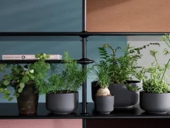 Montana Reoler<Free Reol 333000, chrome