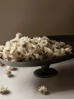 Audo Copenhagen Gaver Til Hende<Pavot Centerpiece fra