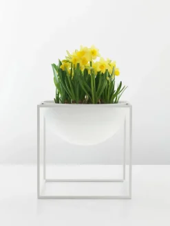 Audo Copenhagen Service<Stor Kubus Skål, guldbelagt fra