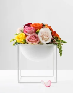 Audo Copenhagen Service<Stor Kubus Skål, guldbelagt fra