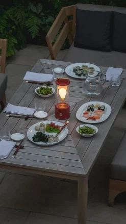 Tala Portable Lamper|Spots<The Muse Portable Lampe, Pomona Red fra