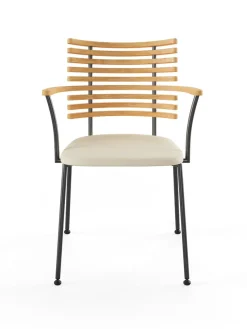 Naver Collection Spisebordsstole<Tiger Armstol, cognac læder fra